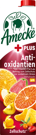 Amecke + Antioxidant Gelb, 1l