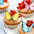 Dr.Oetker Zauberhafte Schmetterlinge, 12 St