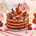 Dr.Oetker Backmischungen Naked Cake Schoko, 300g