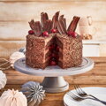 Dr.Oetker Backmischungen Naked Cake Schoko, 300g