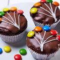 Dr.Oetker Backmischungen Kleingebäck Muffins Schoko, 345g