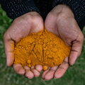 Hela Chamkar Kurkuma Pulver, 85g