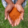Hela Chamkar Smoky Mix, 110g