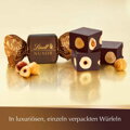 Lindt Nuxor Gianduja Feinherb, 225 St, 3 kg