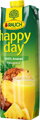 Rauch Happy Day 100% Ananas, 1l