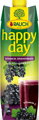 Rauch Happy Day Schwarze Johannisbeere, 1l
