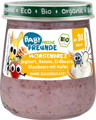 Freche Freunde Morgenbrei Joghurt, Banane, Erdbeere, Blaubeere mit Hafer, ab 10. Monaten, 120g