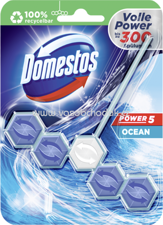 Domestos WC Stein Power 5 Ocean, 1 St