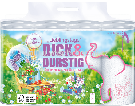 Hakle Dick&Durstig Haushaltstücher mit Dekor, 2-laggig, 4 - 8 Rollen