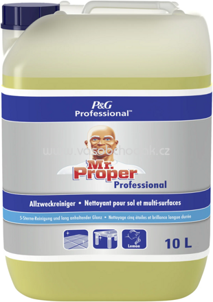 Meister Proper Professional Allzweckreiniger Zitrus, 10 l