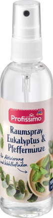 Profissimo Raumspray Eukalyptus-Pfefferminze, 100 ml