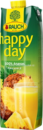 Rauch Happy Day 100% Ananas, 1l