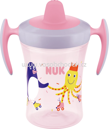 Nuk Flasche Evolution Trainer Cup, rosa, 230 ml, 1 St