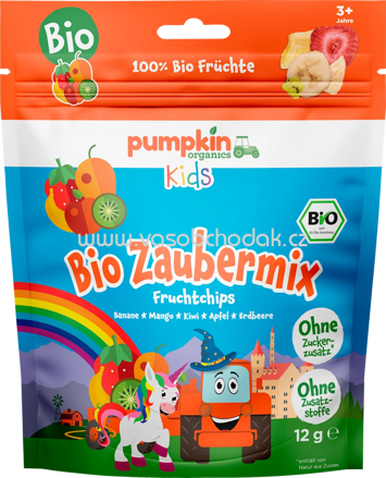 Pumpkin Organics Kindersnack Fruchtchip Zaubermix, ab 3 Jahren, 12 g