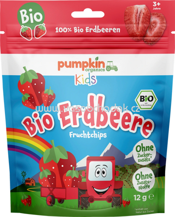 Pumpkin Organics Kindersnack Fruchtchips Erdbeere, ab 3 Jahren, 12 g