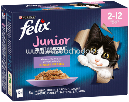 Purina Felix So gut wie es aussieht Junior Gemischte Vielfalt in Gelee, 12x85g