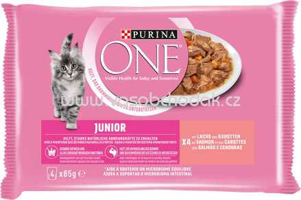Purina ONE Junior mit Lachs und Karotten, 4x85g