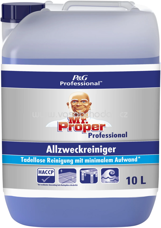 Meister Proper Professional Allzweckreiniger Meerefrische, 10 l