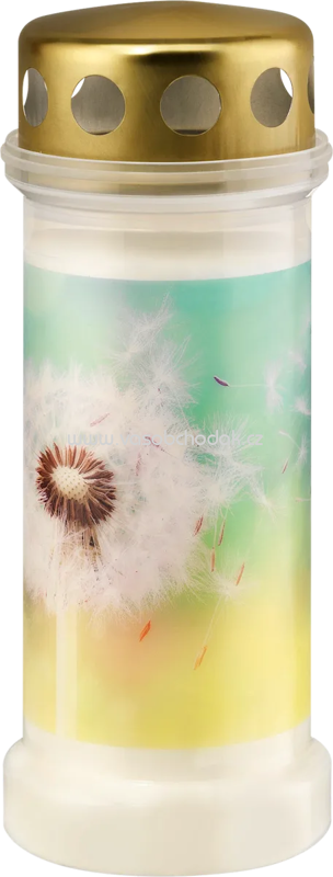 Profissimo Grabkerze Pusteblume, 1 St