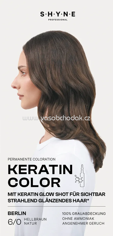 SHYNE Professional Haarfarbe 6/0 Berlin Hellbraun Natur, 1 St SHYNE Professional Haarfarbe 6/0 Berlin Hellbraun Natur, 1 St