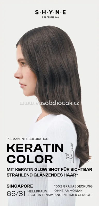 SHYNE Professional Haarfarbe 66/81 Singapore Hellbraun Asch-Intensiv, 1 St SHYNE Professional Haarfarbe 66/81 Singapore Hellbraun Asch-Intensiv, 1 St