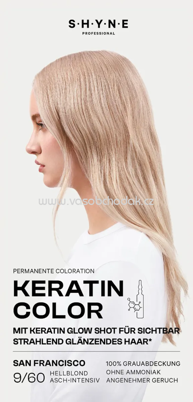 SHYNE Professional Haarfarbe 9/60 San Francisco Hellblond Asch-Intensiv, 1 St SHYNE Professional Haarfarbe 9/60 San Francisco Hellblond Asch-Intensiv, 1 St