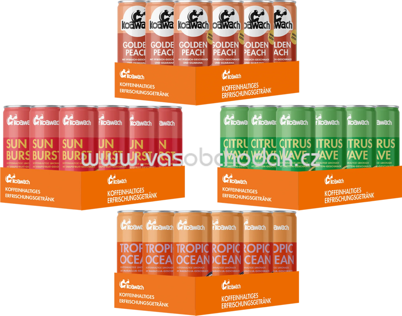 Koawach Großes Limo Set, 4x 12x250 ml