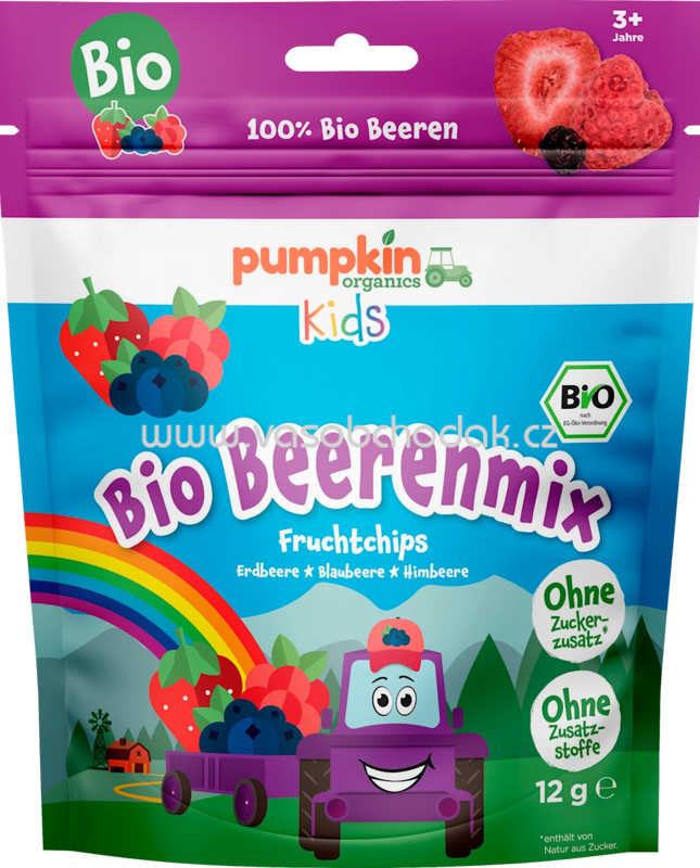 Pumpkin Organics Kindersnack Fruchtchips Beerenmix, ab 3 Jahren, 12 g Pumpkin Organics Kindersnack Fruchtchips Beerenmix, ab 3 Jahren, 12 g
