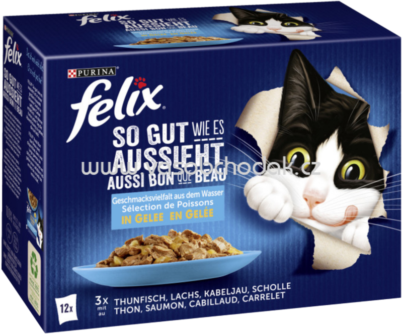 Purina Felix So gut wie es aussieht Geschmacksvielfalt aus dem Wasser in Gelee, 12x85g Purina Felix So gut wie es aussieht Geschmacksvielfalt aus dem Wasser in Gelee, 12x85g