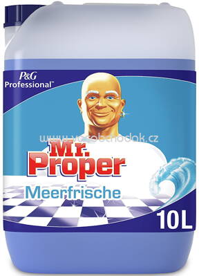 Meister Proper Professional Allzweckreiniger Meerefrische, 10 l
